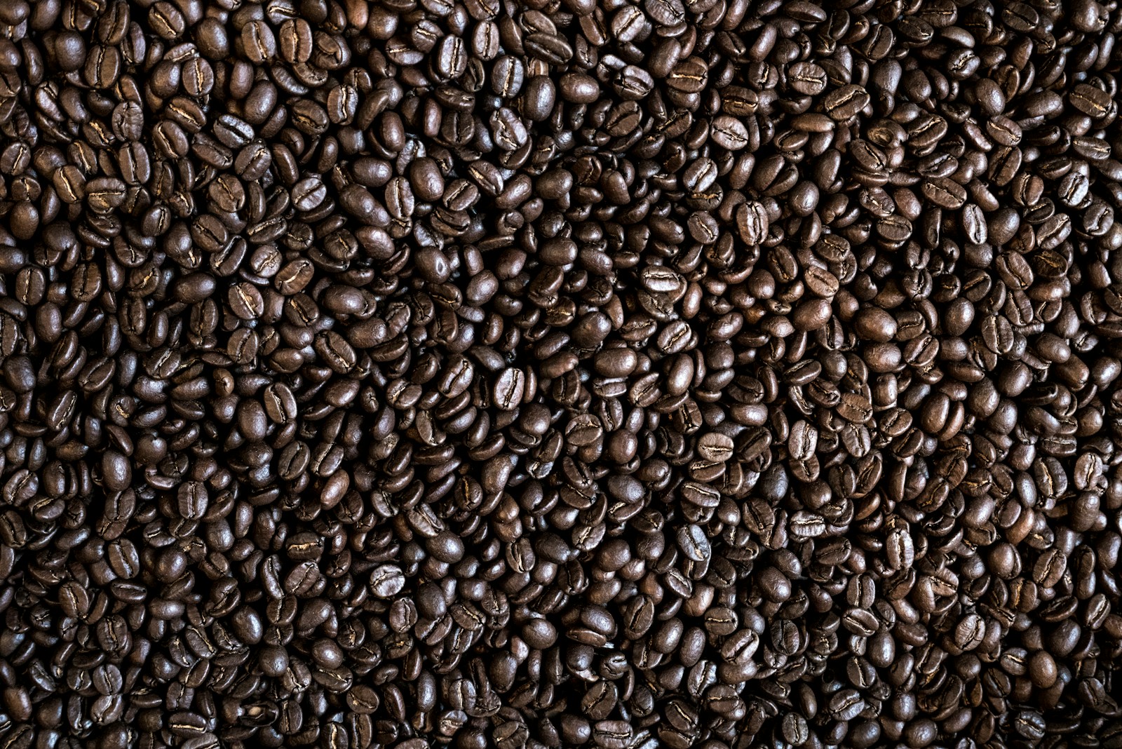 Photo by Hans Ripa coffee bean lot